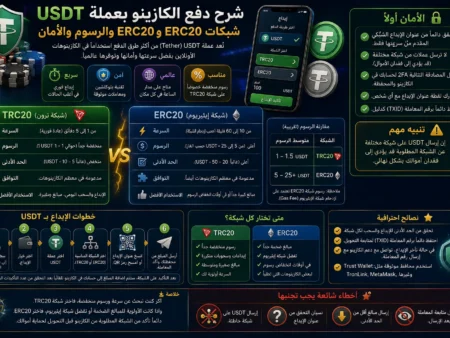 شرح دفع الكازينو بعملة USDT: شبكات TRC20 وERC20 والرسوم والأمان
